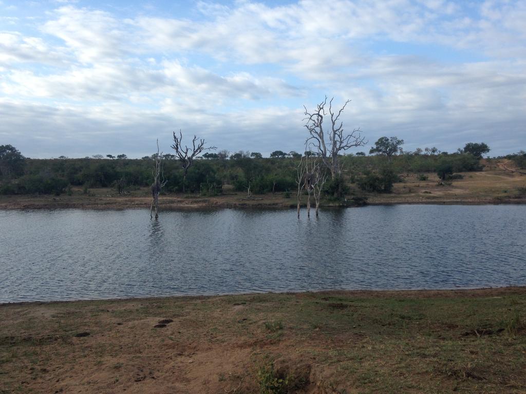 هكتورسبروت Sweni Lodge 91 Mjejane Kruger Park المظهر الخارجي الصورة